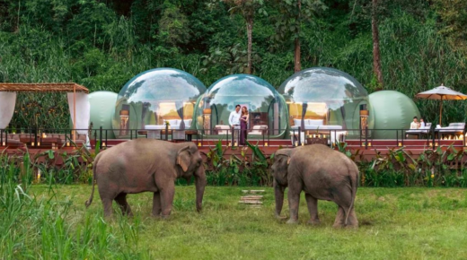 Ezzel a gyönyörű, 2 hálószobás luxusbuborékos társalgóval Ön és családja megcsodálhatja a mentő elefántokat egy thai erdőben.